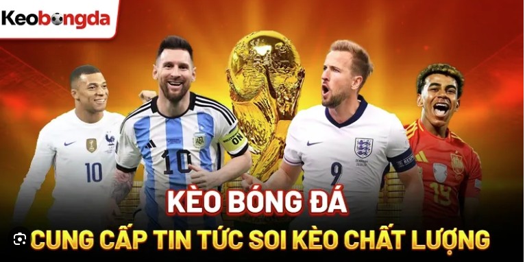 Tham khảo kỹ các nguồn tin bóng đá trước khi xuống tiền